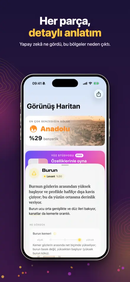 Contoura: Özellik anlatımı